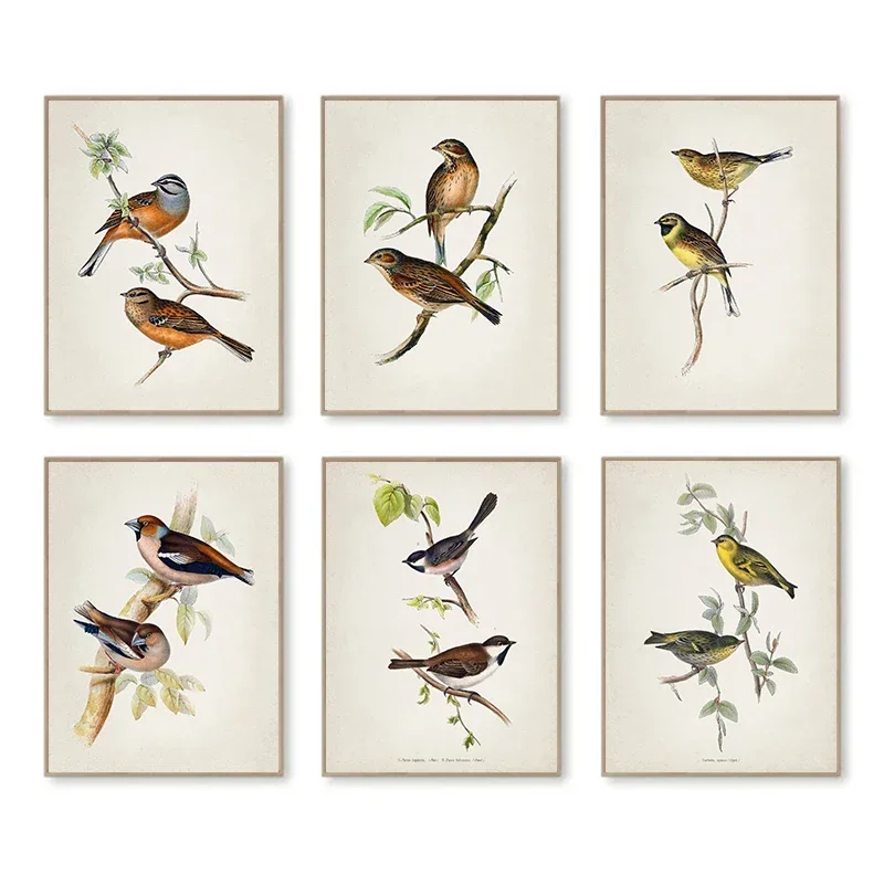 Wanddecoratie Vintage De vogel - Vintage Fashion Wall Art recensie en prijs